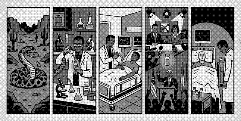 Imagen de Mala Ciencia: El mito de la Crotoxina