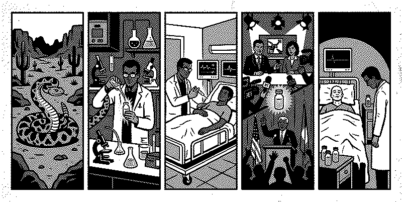 Imagen de Mala Ciencia: El mito de la Crotoxina