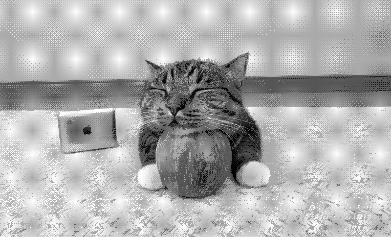 Imagen de Links de Viernes - #934