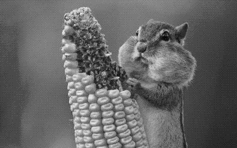Imagen de Links de Viernes - #937