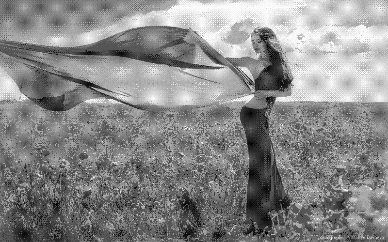 Imagen de Links de Viernes - #955