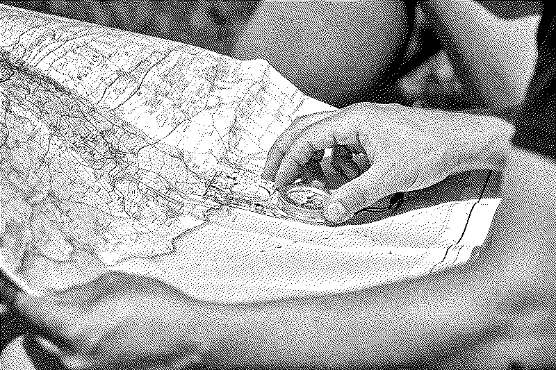 Imagen de La gente ya no sabe leer un mapa