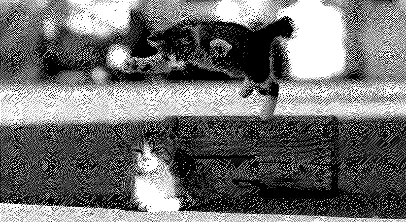 Imagen de Ruleta Rusa #866