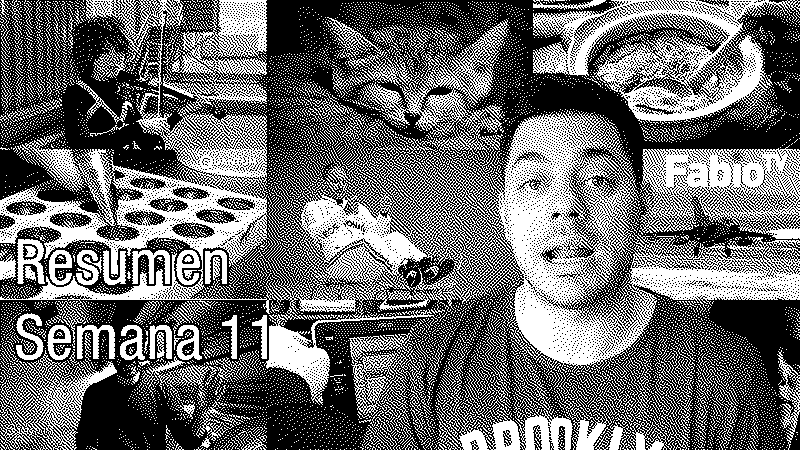 Imagen de FabioTV - Resumen Semana 11 - 2020